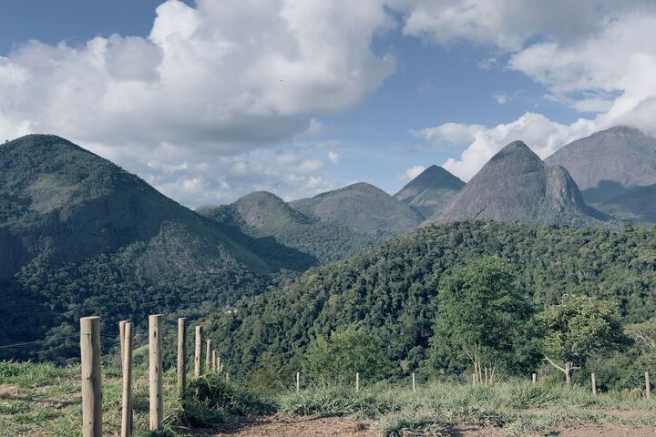 reserva das oliveiras (5)